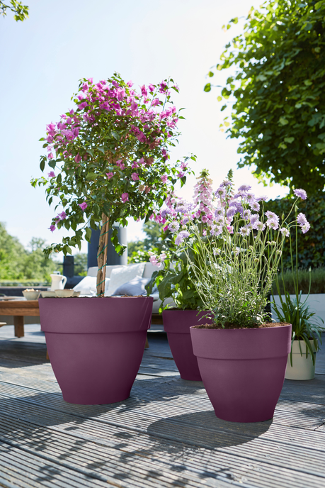 vibia campana rund 40cm ahorn lila